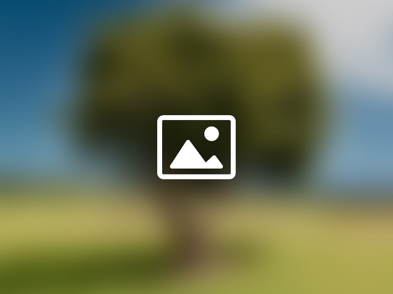 Placeholder 1 standard