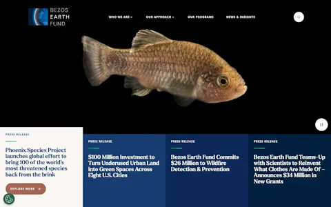 Homepage of the Bezos Earth Fund website, built on Craft CMS